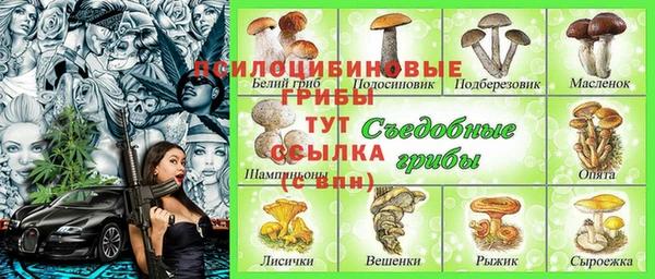 герыч Ладушкин