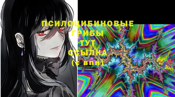 герыч Ладушкин