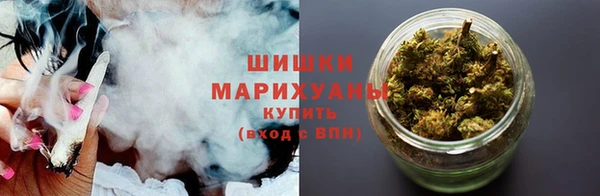 крисы Лабытнанги