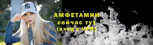 гидра Лагань