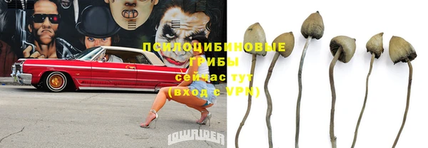 крисы Лабытнанги