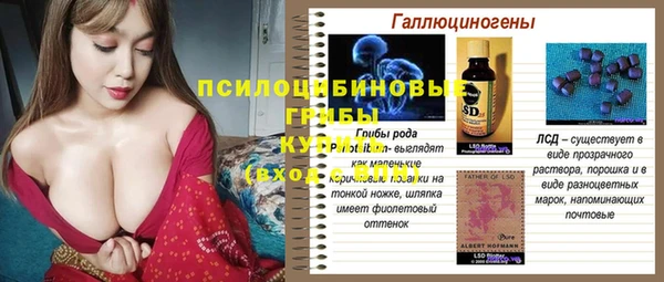 крисы Лабытнанги