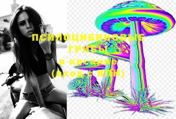 герыч Ладушкин