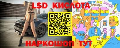 дживик Кандалакша