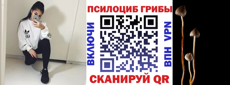 Галлюциногенные грибы MAGIC MUSHROOMS  Лысьва 